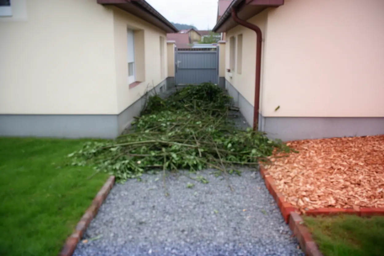 Passage bloqué par des branches à Chalezeule